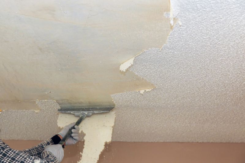 Swirl Ceiling Removal in Georgetown, TX